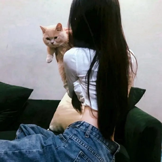尘世笑谈在线观看
